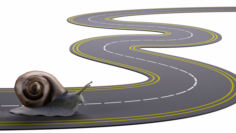 Snail S Pace 5ec5555009c73 5ecbd70c43a72