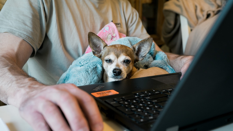 Allie H9 Ls95 Wl8t M Unsplash 5ed0f6929fd57 5edfd3e6cd72a