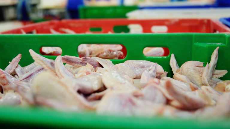 Poultry Plant Closed After COVID-19  Kills 8 ,Sickens 392