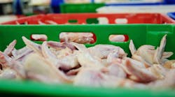 Poultry Plant Closed After COVID-19  Kills 8 ,Sickens 392