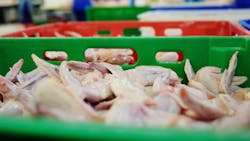 Poultry Plant Closed After COVID-19 Kills 8 ,Sickens 392 Poultry Plant Closed After COVID-19 Kills 8 ,Sickens 392
