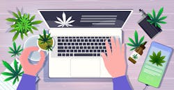 Marijuana In Workplace 5f97315bf1908 Marijuana In Workplace 5f97315bf1908