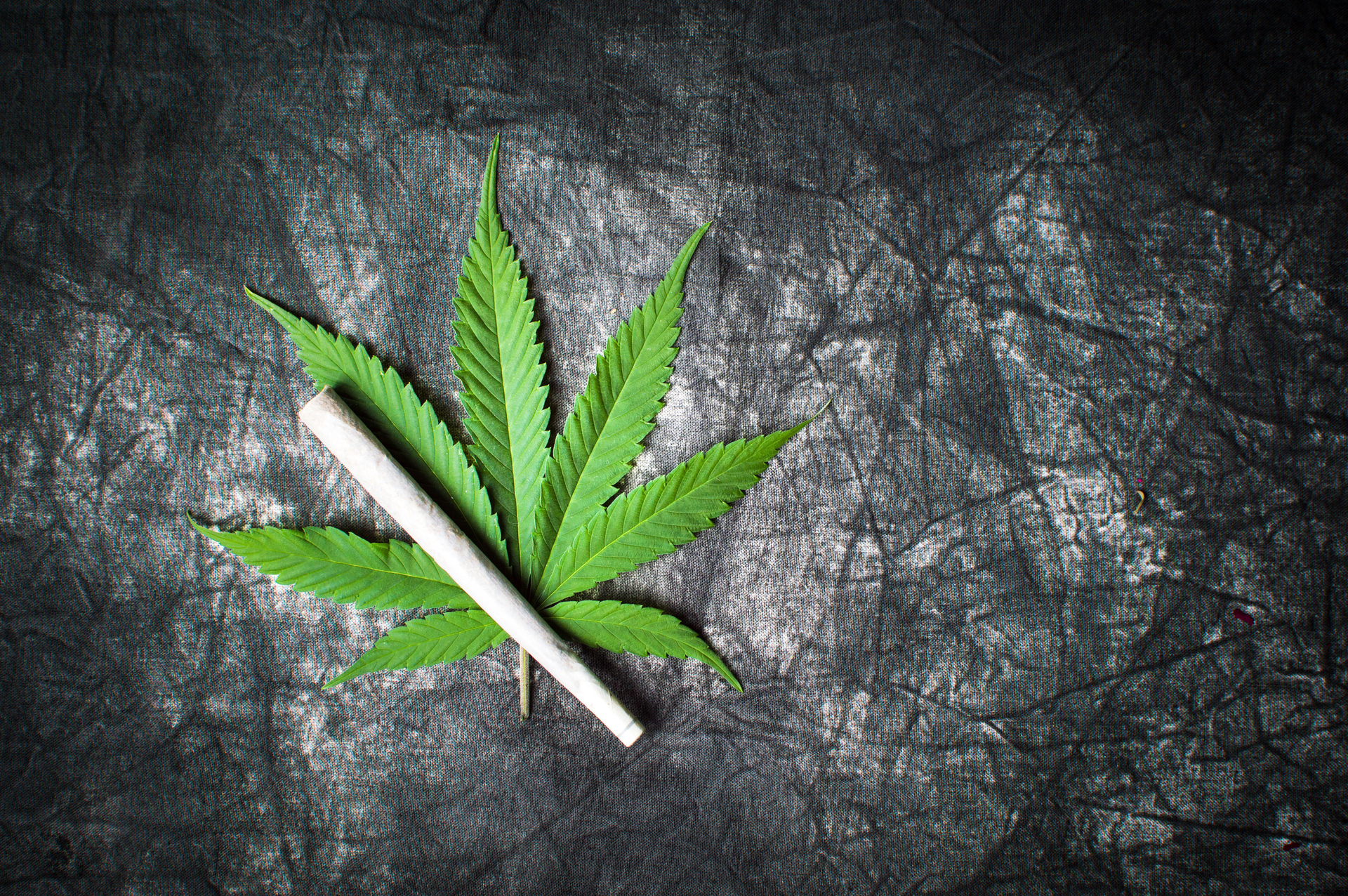 Dreamstime L 99634131 607f3790582a0