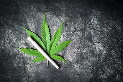 Dreamstime L 99634131 607f3790582a0 Dreamstime L 99634131 607f3790582a0