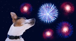 Dreamstime L 120069628 60df0f0c962ea Dreamstime L 120069628 60df0f0c962ea