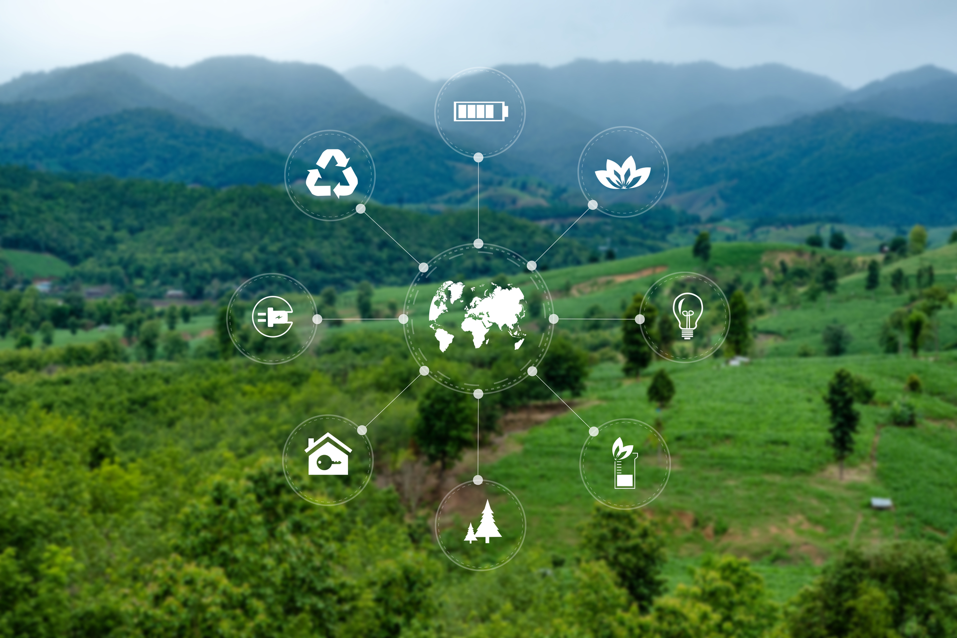 Dreamstime L 155065885 60e5e9b25f32b