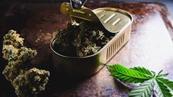 Marijuana Test 60ef373d6886d 1 60feb9d660a73 Marijuana Test 60ef373d6886d 1 60feb9d660a73