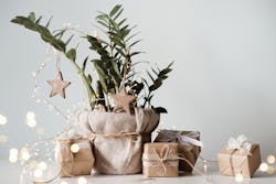 Dreamstime L 200744915 61bbbc9be6b65 Dreamstime L 200744915 61bbbc9be6b65