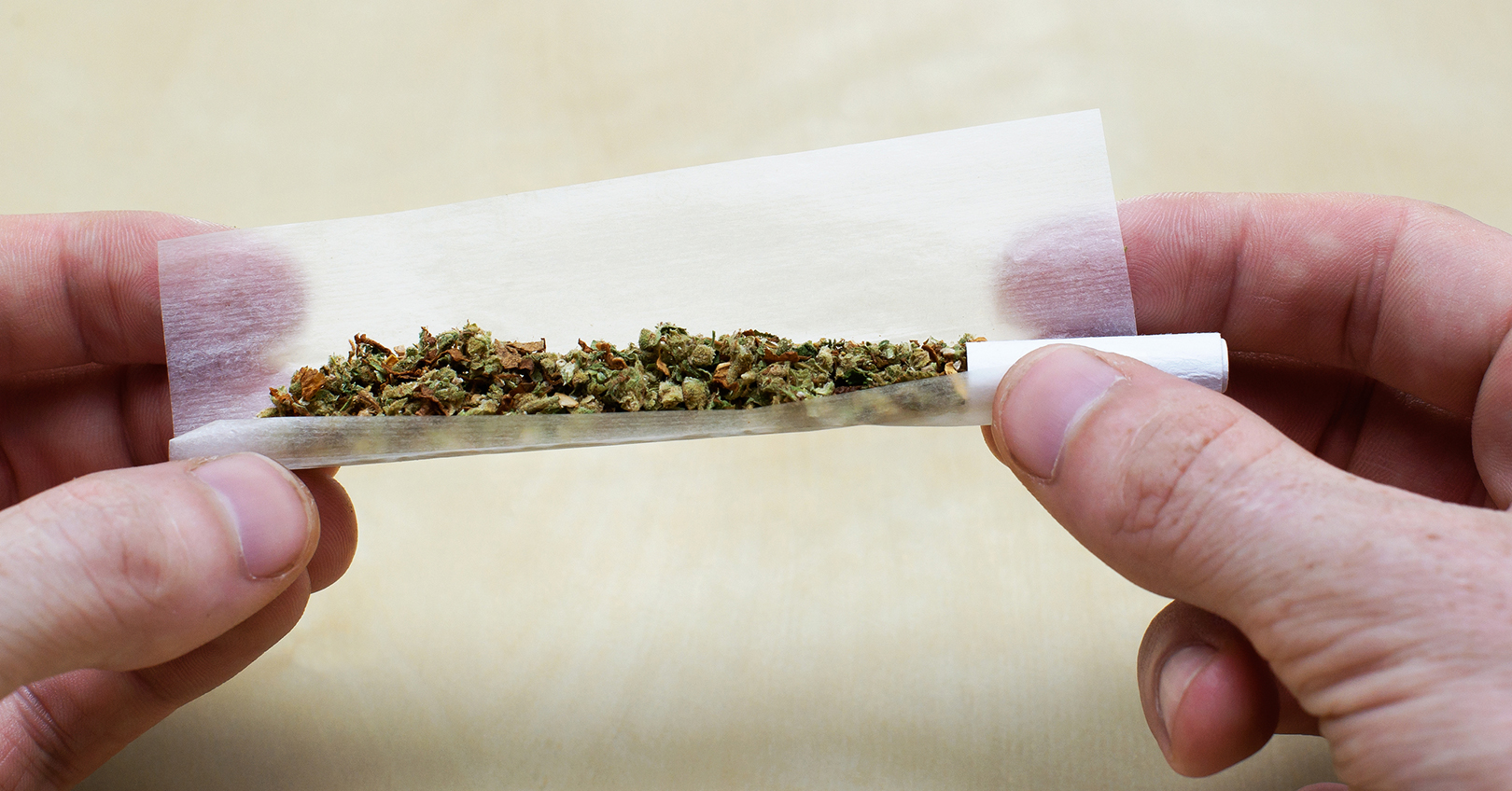 Regulatory Update NY Clarifies Employer Role in Cannabis