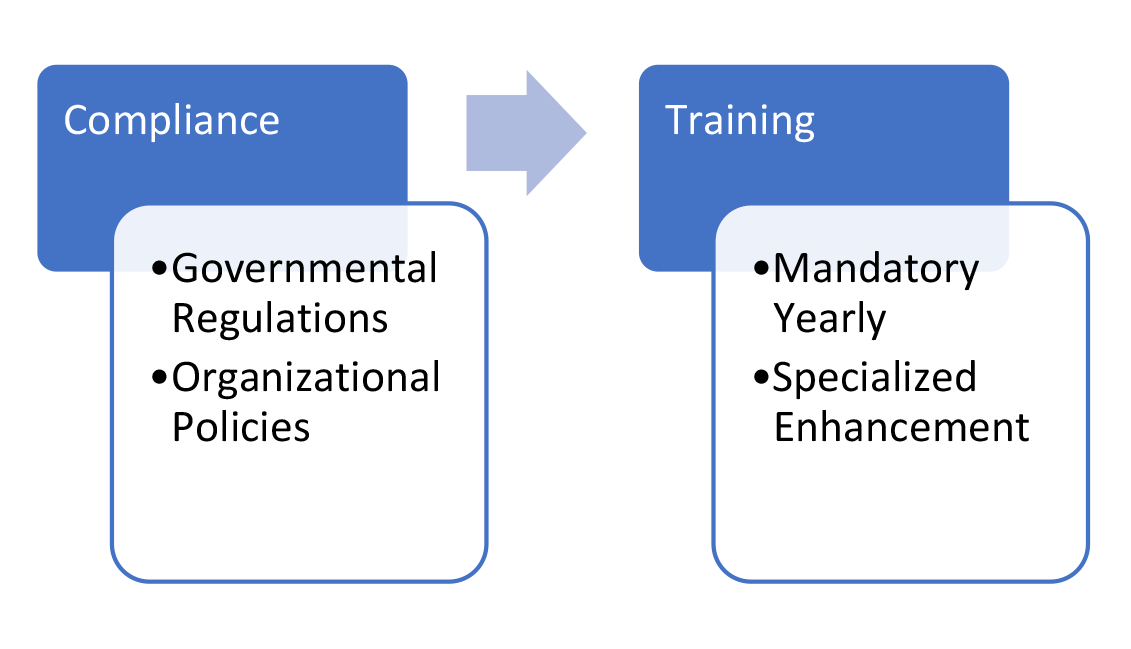 Figure 1: Two Pillars of Safety Program.