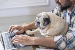 Ergonomics Online? Ergonomics Online?