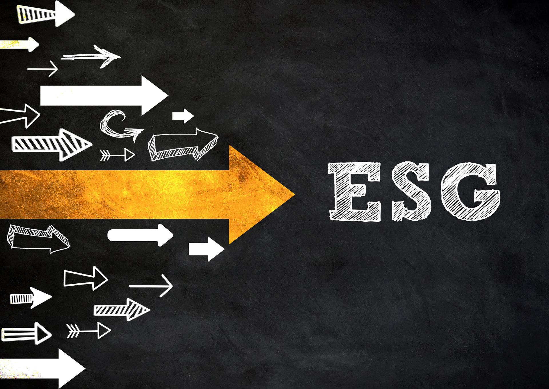 Dreamstime L 227863401 63b6da9891a55