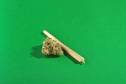 Dreamstime L 273035839 644150094198b Dreamstime L 273035839 644150094198b