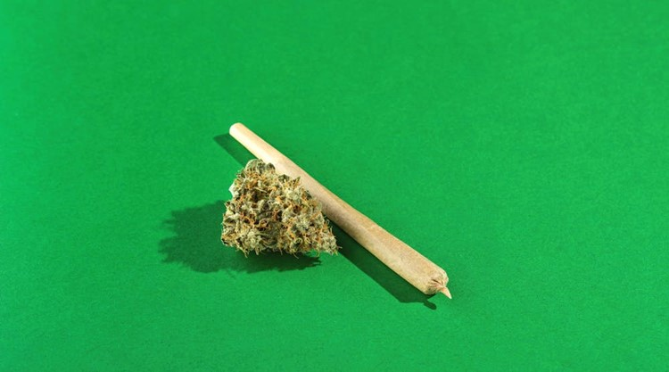 Post-Accident Workforce Drug Positivity for Marijuana Reached 25-Year High in 2022