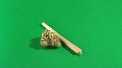 Post-Accident Workforce Drug Positivity for Marijuana Reached 25-Year High in 2022 Post-Accident Workforce Drug Positivity for Marijuana Reached 25-Year High in 2022