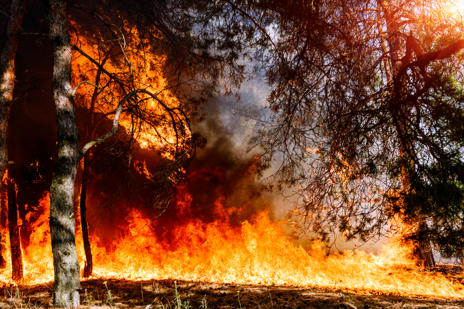EPA's Statement on Wildfire Smoke