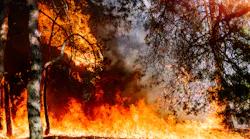 EPA's Statement on Wildfire Smoke