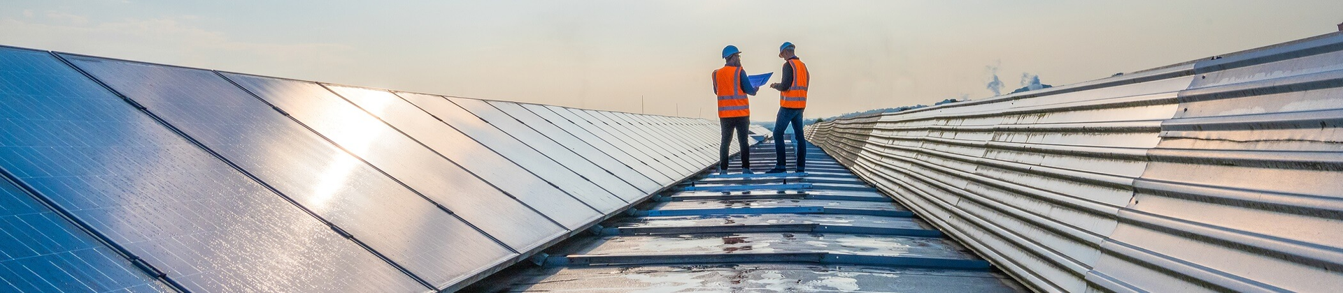 From ESG to the Whole Person