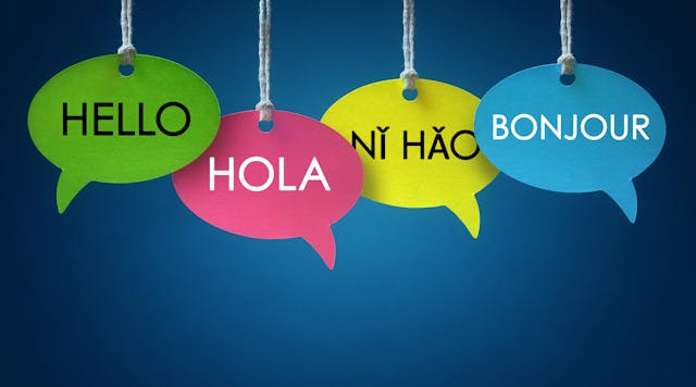 languages_safety_leadership_inclusive languages_safety_leadership_inclusive