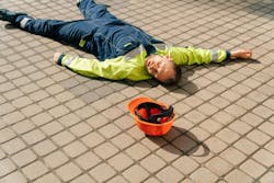 65d8c6955ab174001e381790 Dreamstime L 182051208 65d8c6955ab174001e381790 Dreamstime L 182051208