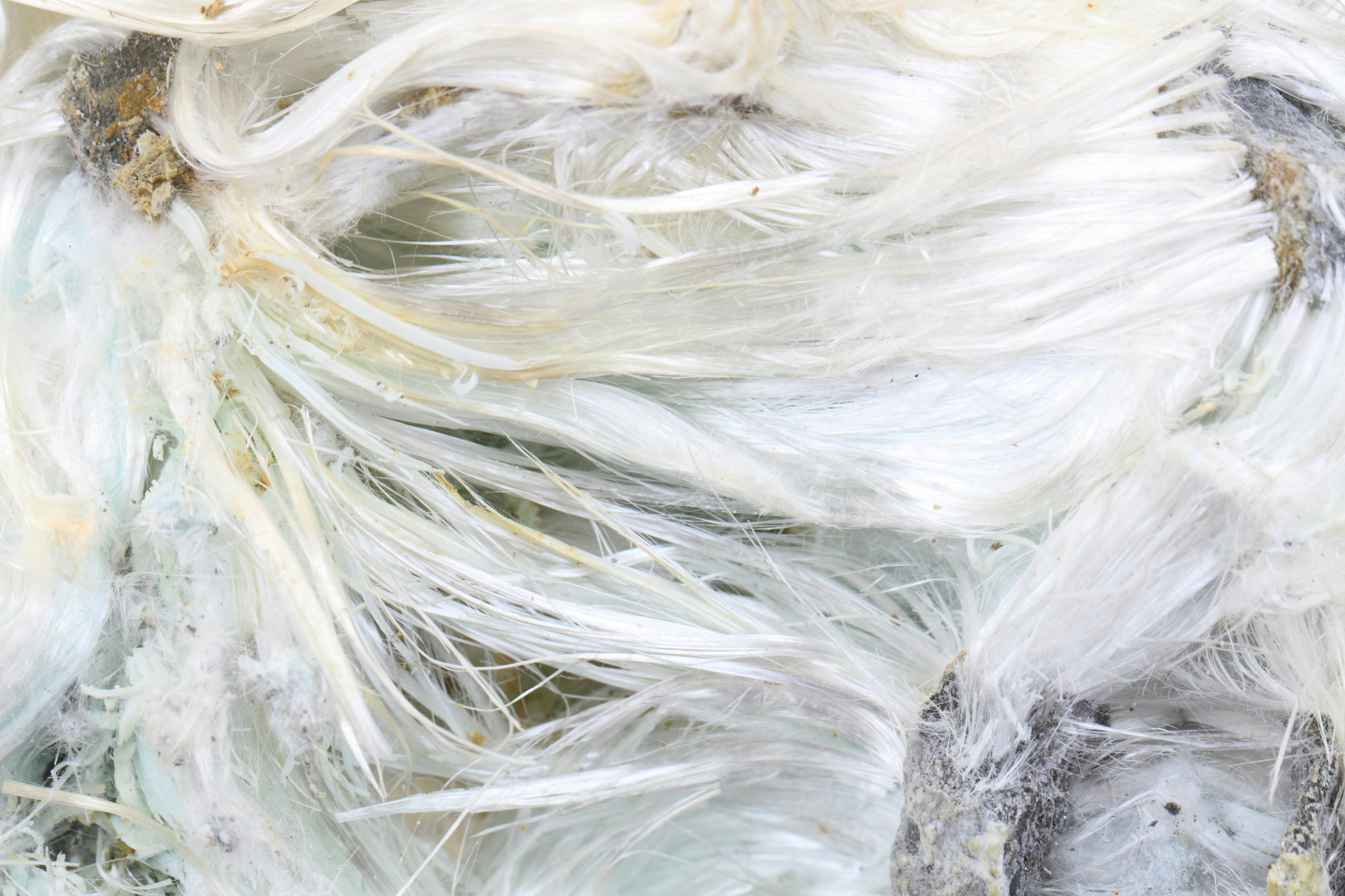 EPS Bans Last Form of Asbestos