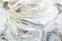 EPS Bans Last Form of Asbestos