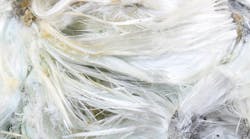 EPS Bans Last Form of Asbestos