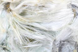 EPS Bans Last Form of Asbestos EPS Bans Last Form of Asbestos