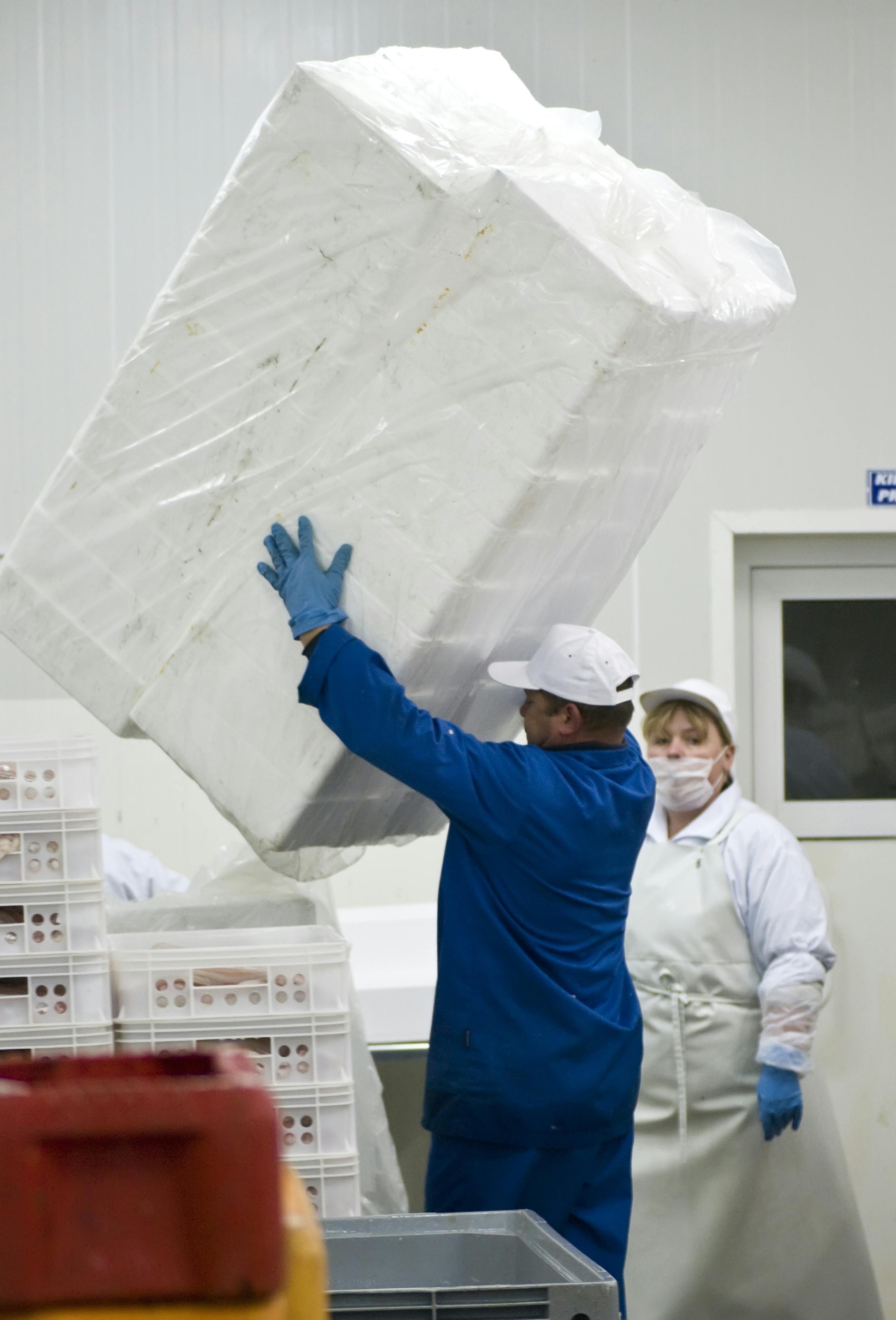 Safety Practices to Reduce Injuries