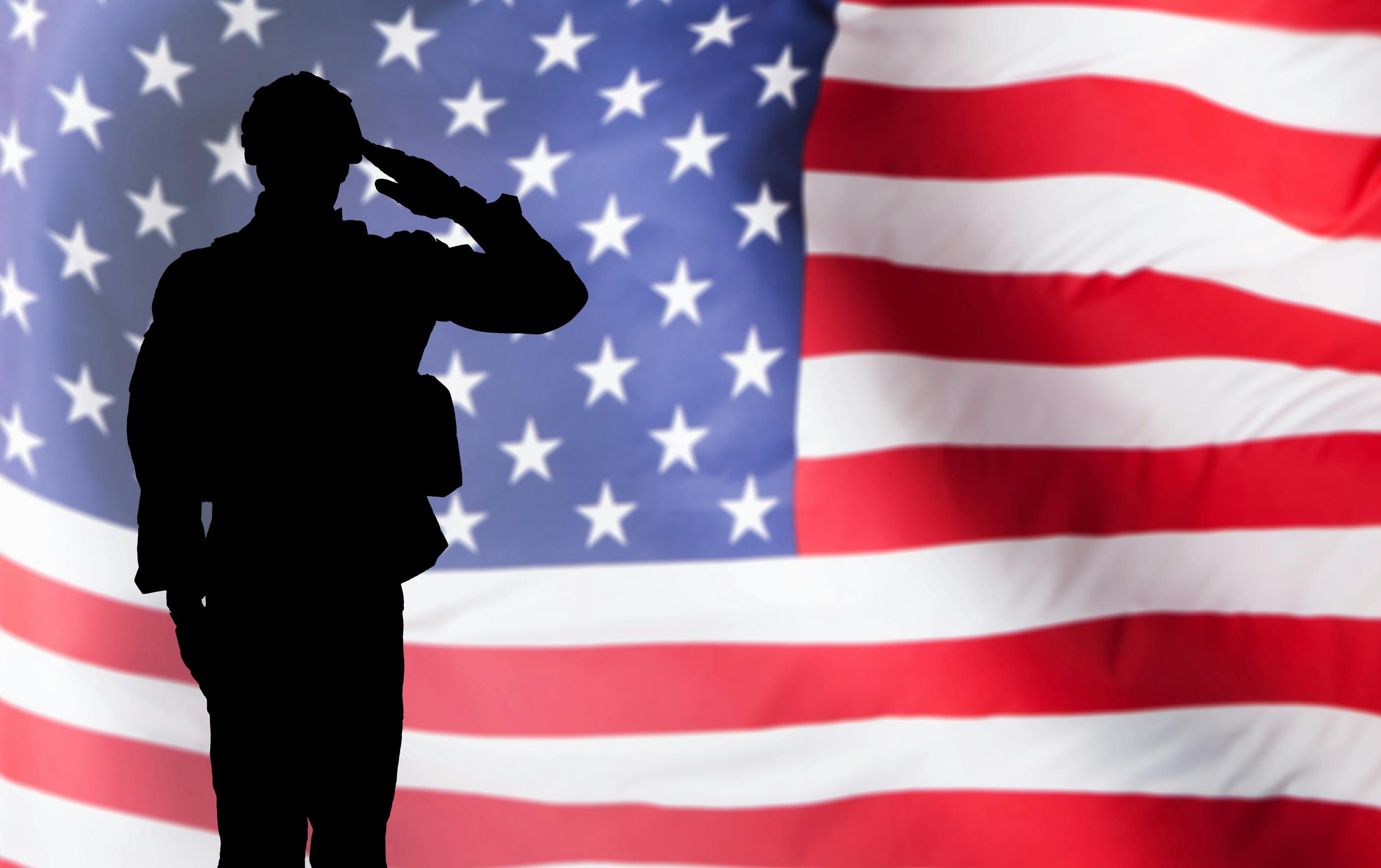 military solider in profile saluting the U.S. flag
