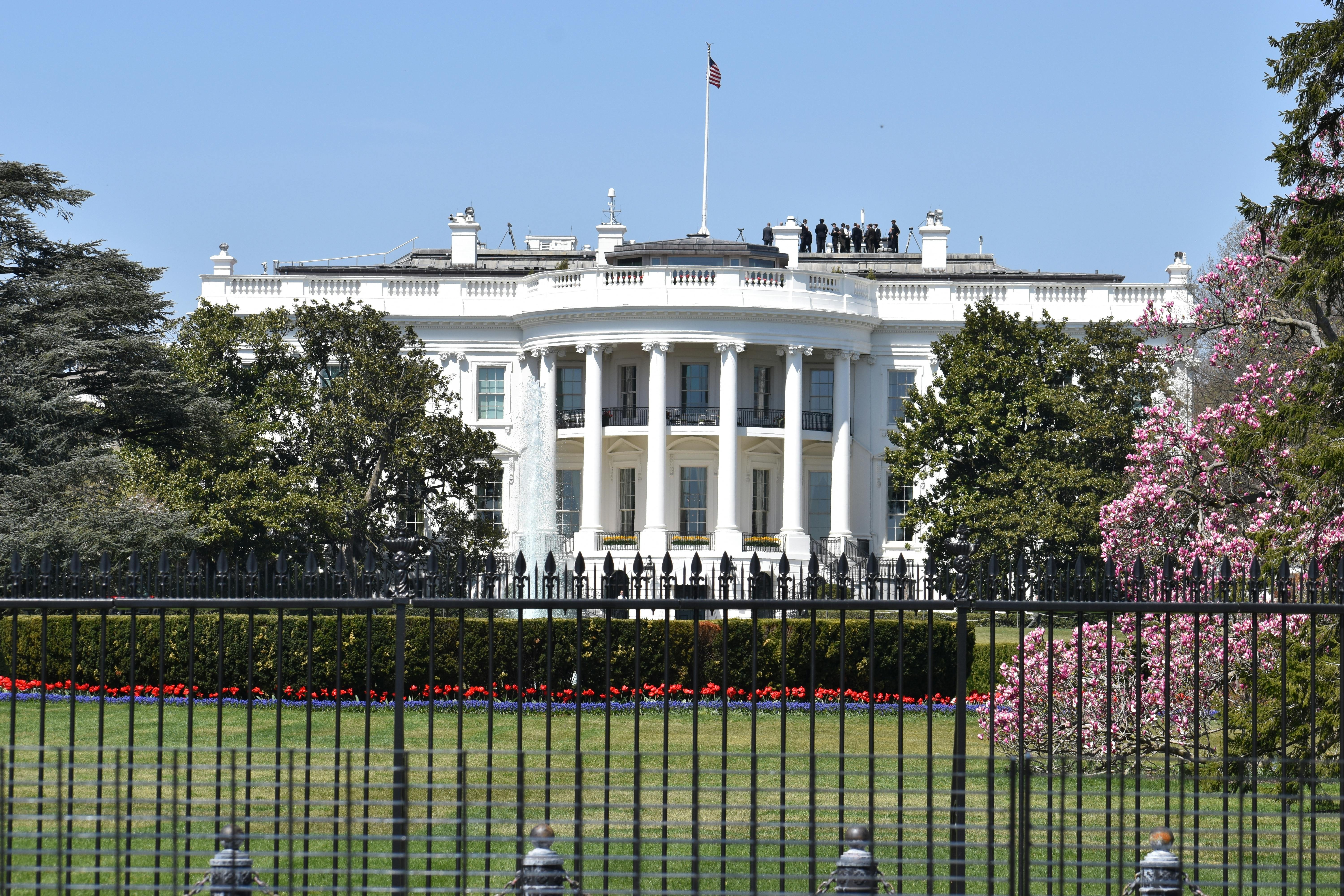 6733ba9774a9f39101b77d0f White House 2