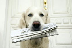 677805fbcf71794e52675e4f Dreamstime L 9336108 677805fbcf71794e52675e4f Dreamstime L 9336108