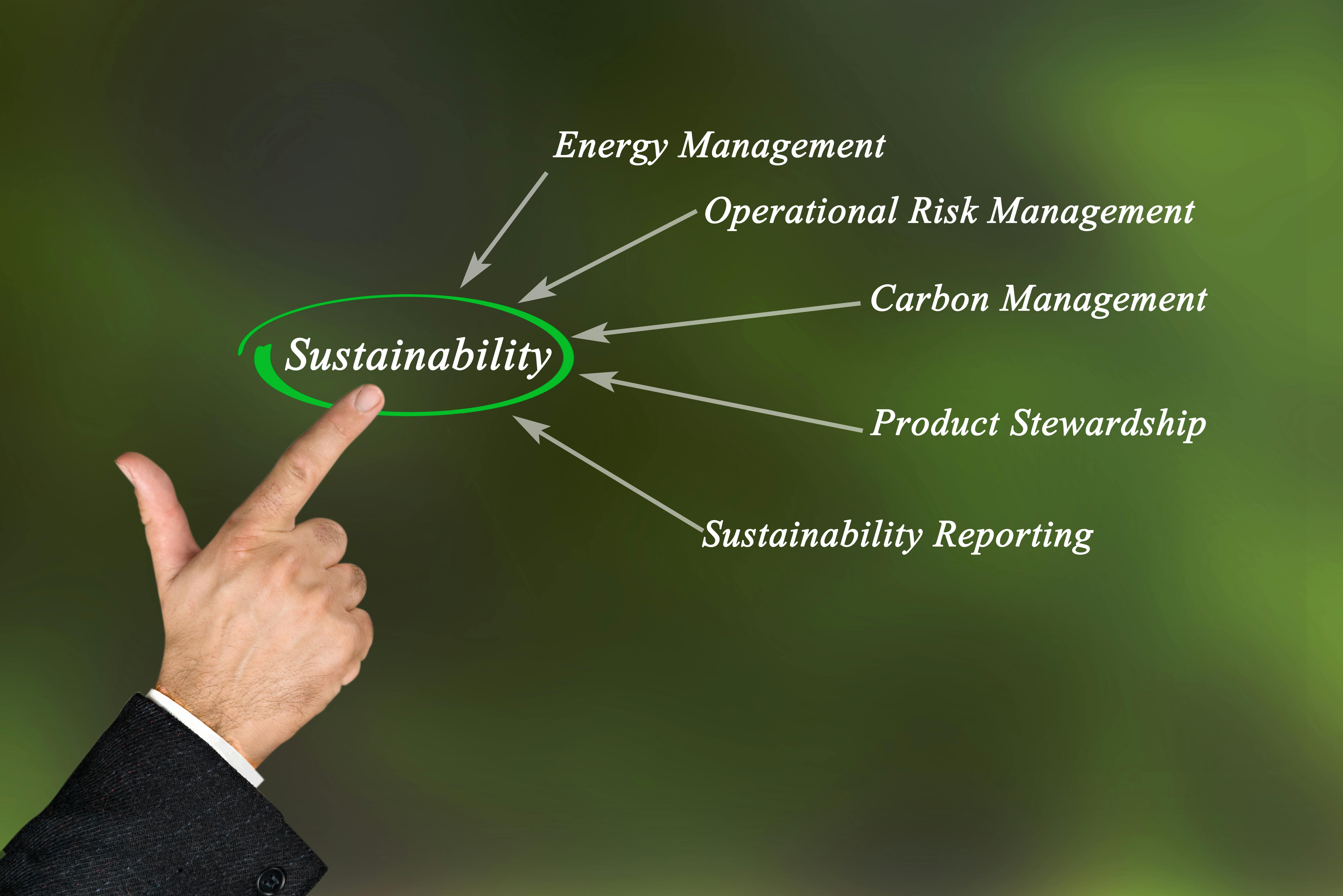 More Global Companies Seek Assurance on Sustainability Reporting