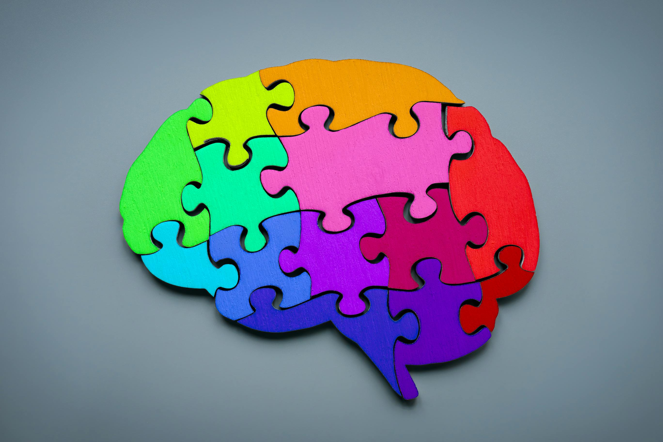 Human brain made out of colorful puzzle pieces. Conceptualization of neurodiversity