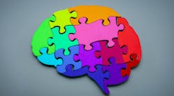 Human brain made out of colorful puzzle pieces. Conceptualization of neurodiversity Human brain made out of colorful puzzle pieces. Conceptualization of neurodiversity