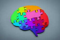 Human brain made out of colorful puzzle pieces. Conceptualization of neurodiversity Human brain made out of colorful puzzle pieces. Conceptualization of neurodiversity