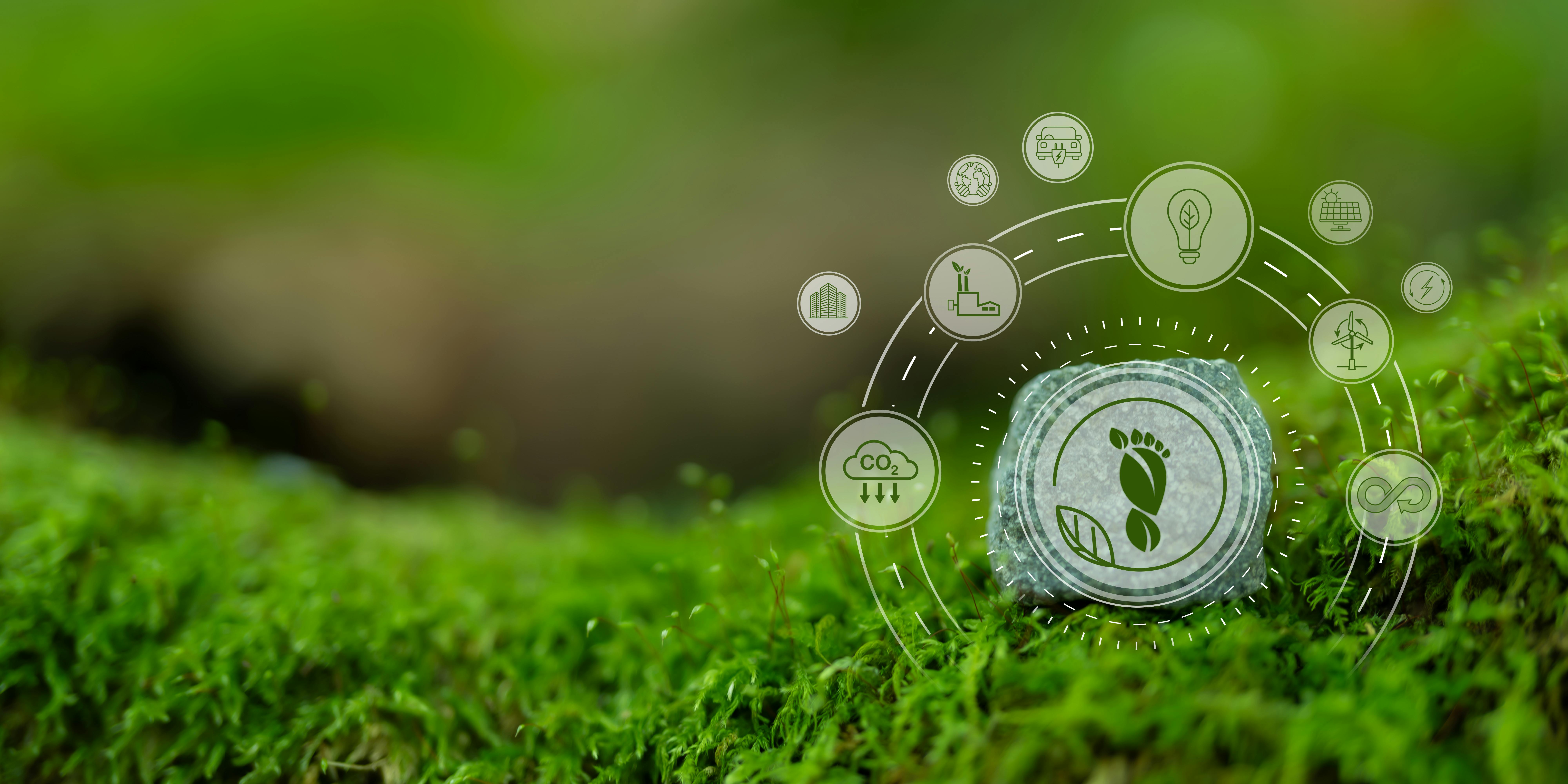 Executives Tie Environmental Performance to Business Success