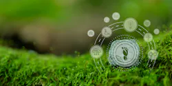 Executives Tie Environmental Performance to Business Success Executives Tie Environmental Performance to Business Success