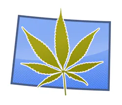 Strategies for Dealing with Effect of Cannabis in the Workplace Strategies for Dealing with Effect of Cannabis in the Workplace