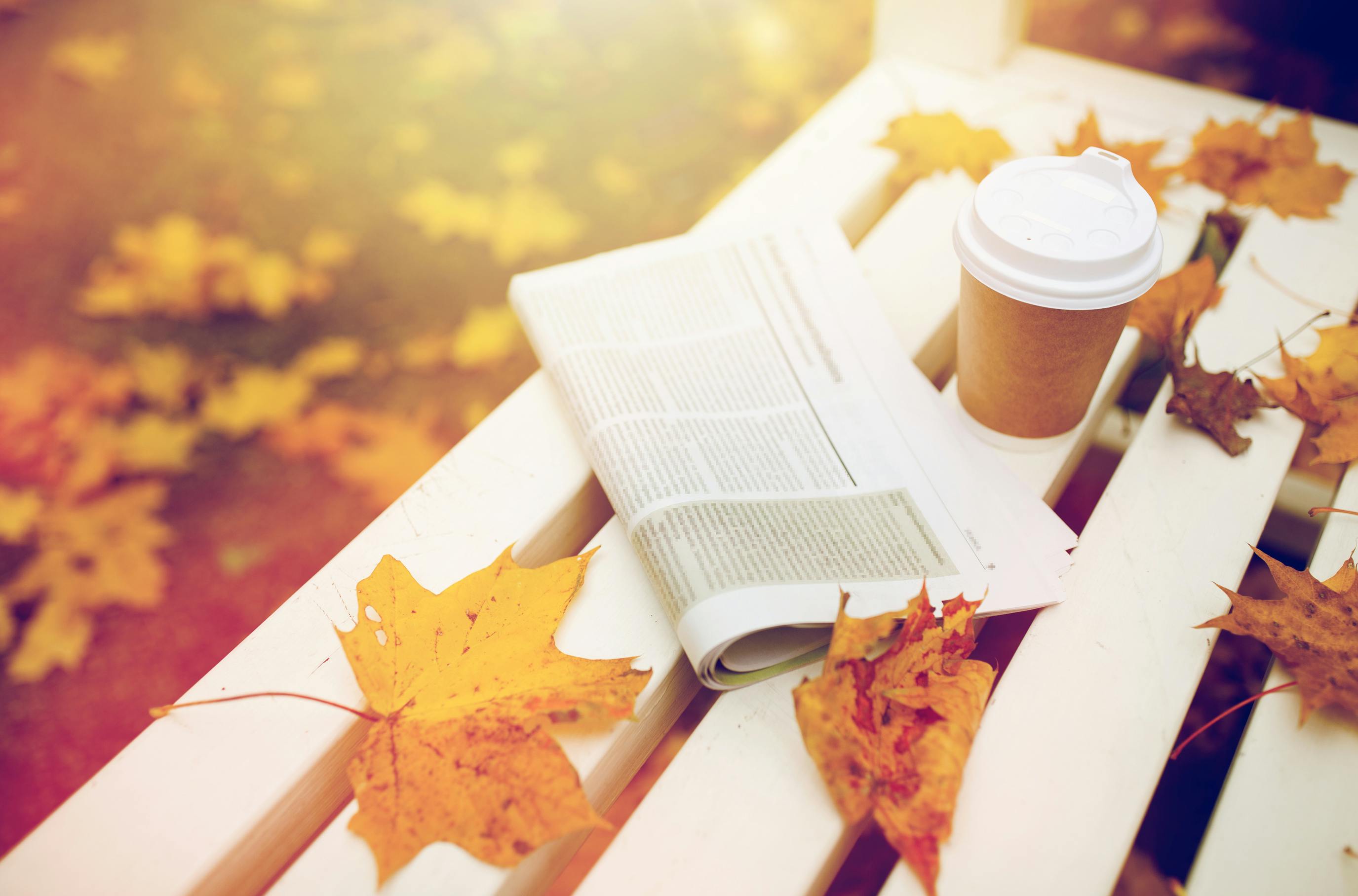 picture of a newspaper and to go coffee cup on a white bench strewn with vibrant fallen leaves