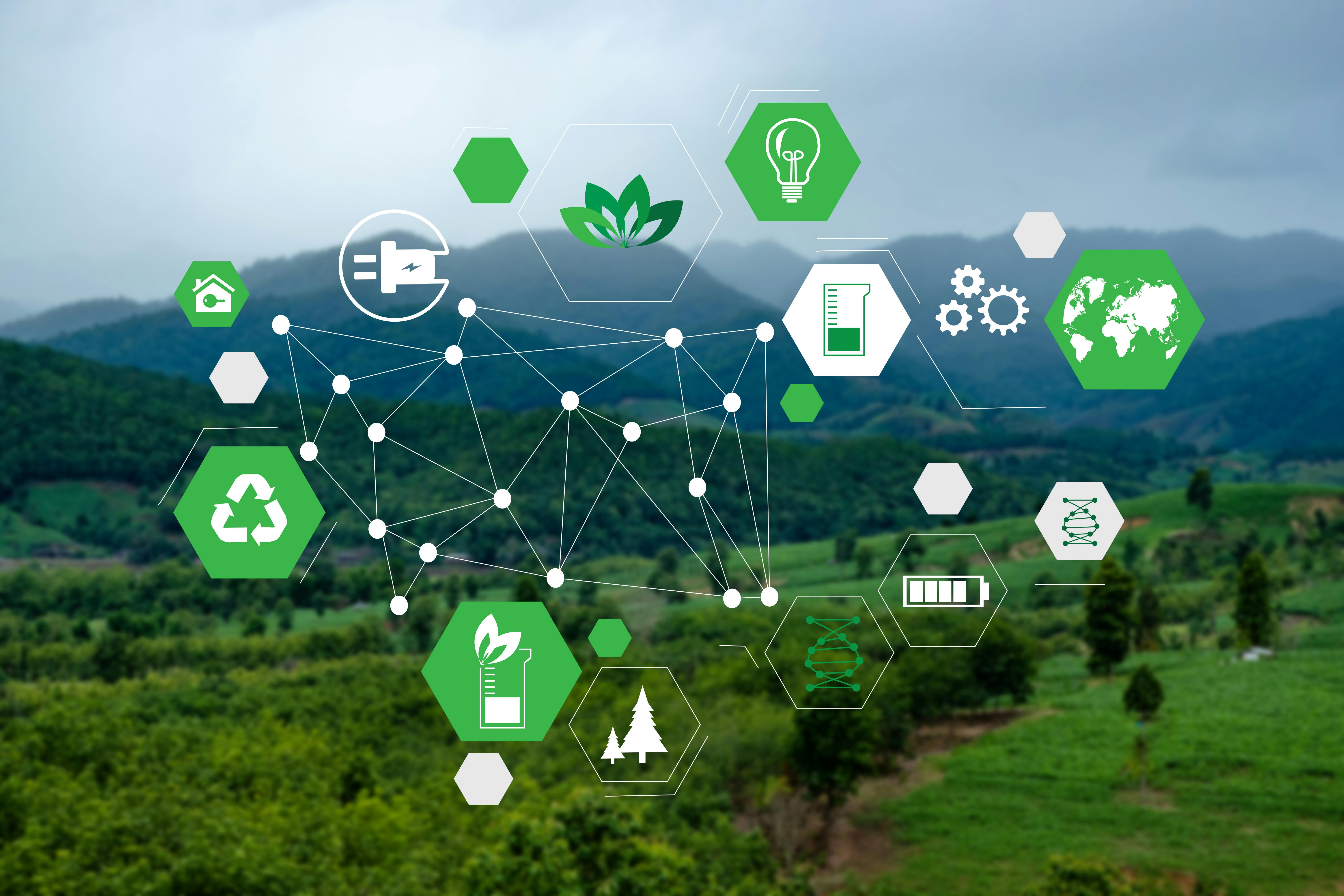 Majority of Companies Have Increased Sustainability Investment